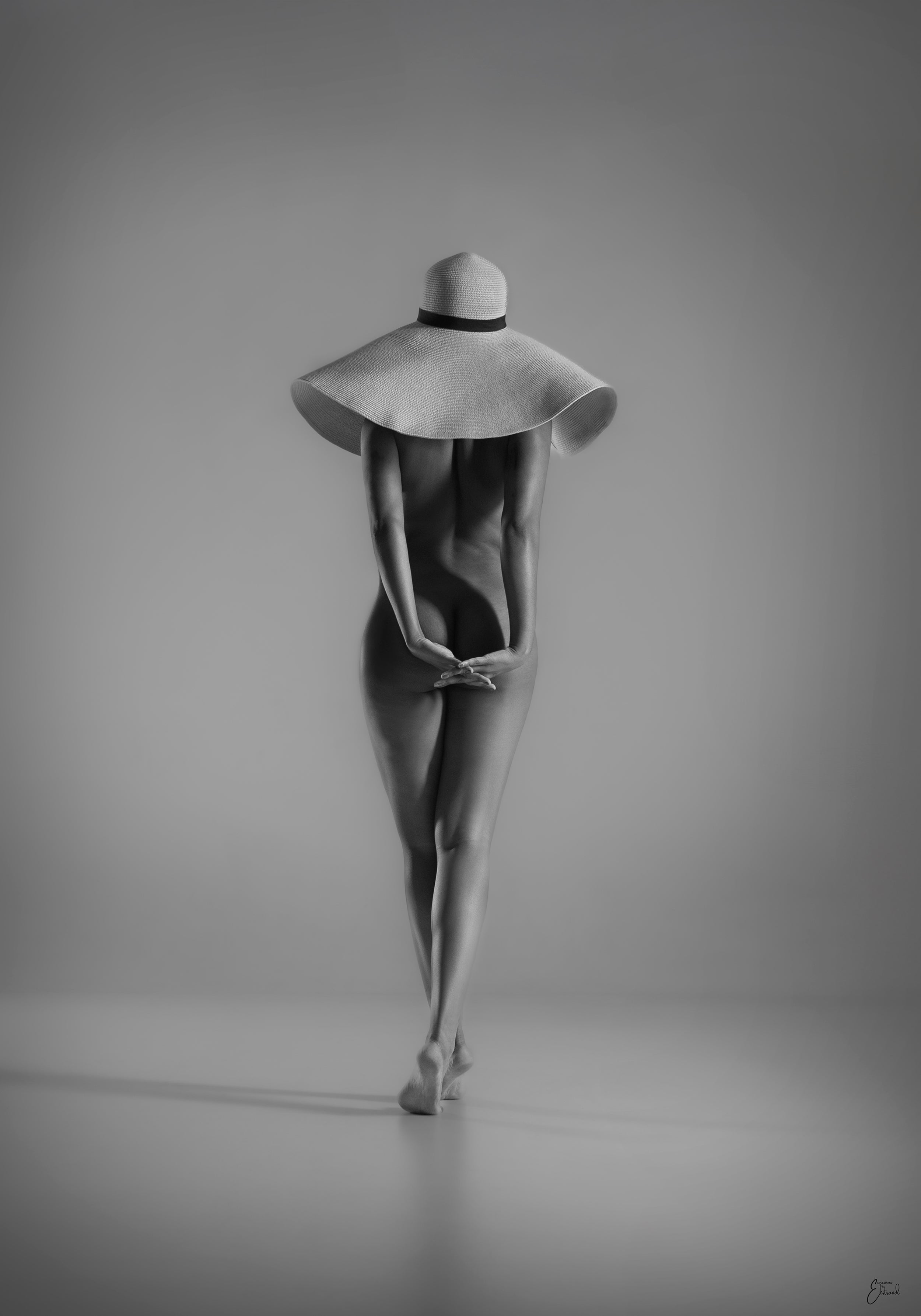 Under the Shadow  Grey Edition